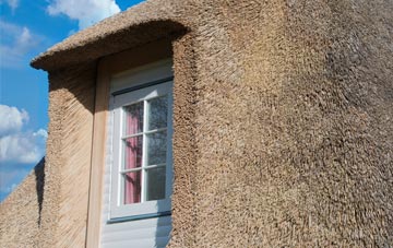 Balmer thatch roof disadvantages